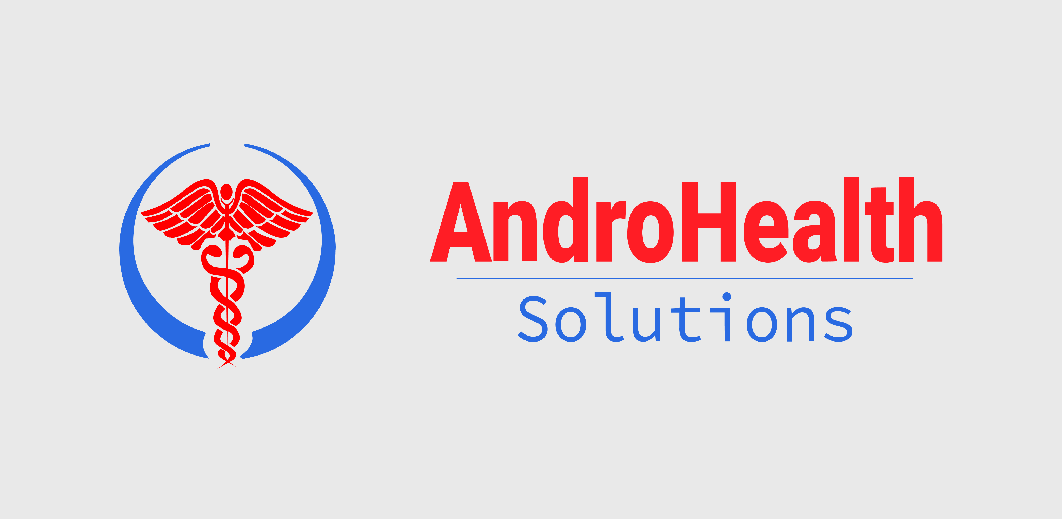 Andromeda Information Technology Logo